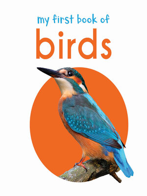 cover image of My First Book of Birds
